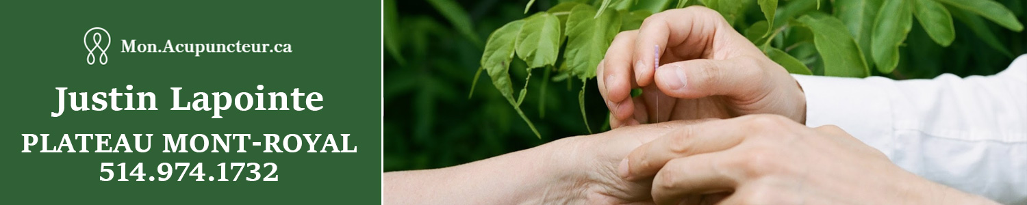 Clinique Acupuncture - Mon Acupuncteur - Justin Lapointe-Plateau Mont-Royal