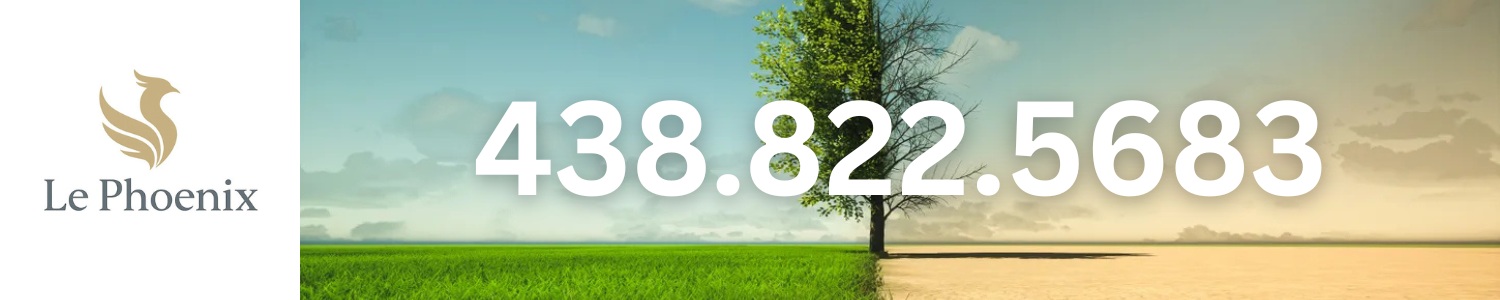 therapeute-relation-aide