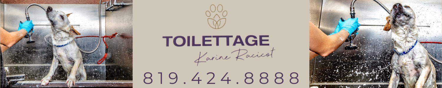 toilettage-animaux