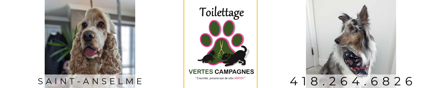 Toilettage Vertes Campagnes - Service de toilettage Saint-Anselme